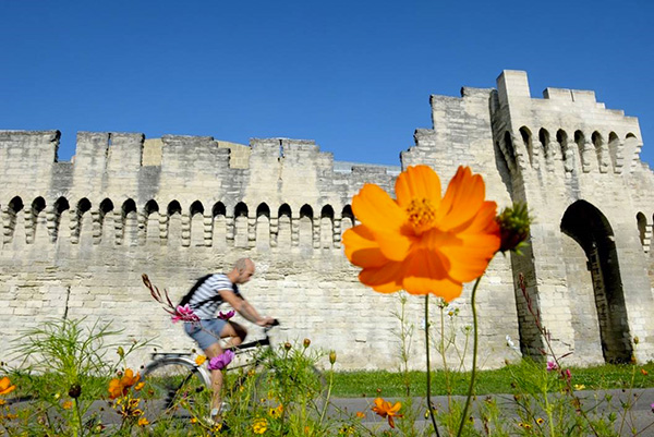 Avignon Tourisme, créateur d'expériences